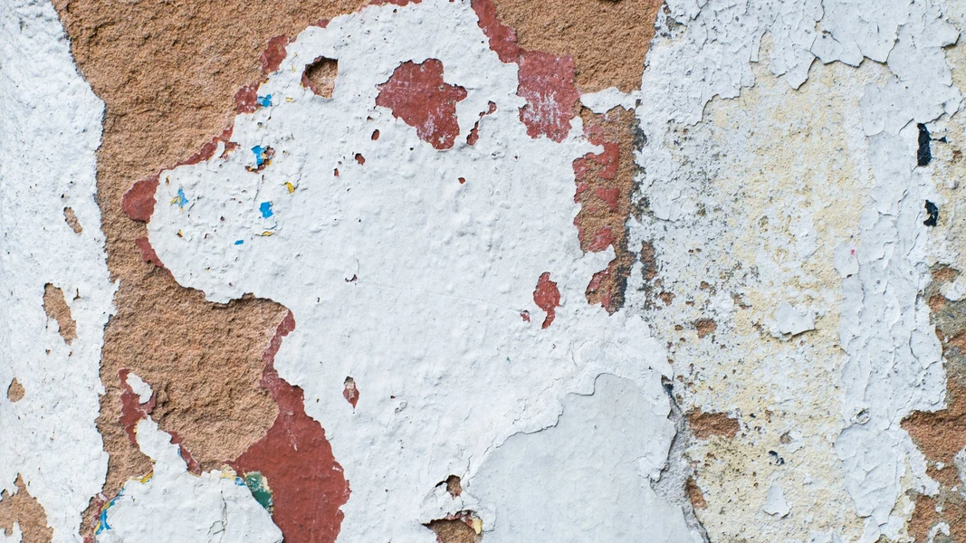 A damp wall with discolored patches, "bubbles", peeled paint, and crumbling plaster